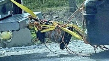 Demi menarik mobil belakang apapun digunakan. Foto: Boredpanda