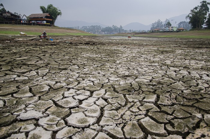 Warga memeriksa sumur dadakan untuk irigasi pertanian di area yang kering kawasan Situ Cileunca, Pangalengan, Kabupaten Bandung, Jawa Barat, Selasa (19/9/2023). Situ Cileunca yang merupakan salah satu pemasok persediaan air baku untuk wilayah Bandung Raya tersebut mengalami penyusutan debit air sekitar 40 persen atau 7 hingga 20 meter akibat musim kemarau panjang sehingga berdampak terganggunya pasokan air bersih ke sekitar 100 ribu warga sekitar. ANTARA FOTO/Novrian Arbi/YU