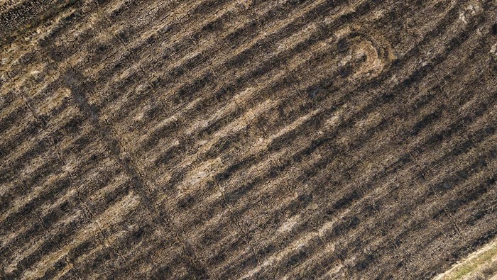 Ratusan Hektar Sawah di Sulsel Mengering Akibat Kemarau dan El Nino Foto udara area persawahan yang mengering akibat kemarau di Kabupaten Gowa, Sulawesi Selatan, Selasa (19/9/2023). Dinas Tanaman Pangan, Holtikultura dan Perkebunan Sulawesi Selatan mencatat sebanyak 153 hektare area pertanian di Sulsel mengalami puso akibat kemarau yang diperparah oleh fenomena El Nino. ANTARA FOTO/Arnas Padda/aww.