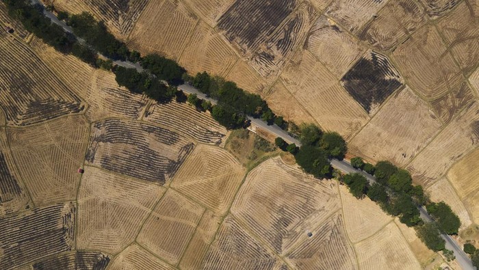 Ratusan Hektar Sawah di Sulsel Mengering Akibat Kemarau dan El Nino Foto udara area persawahan yang mengering akibat kemarau di Kabupaten Gowa, Sulawesi Selatan, Selasa (19/9/2023). Dinas Tanaman Pangan, Holtikultura dan Perkebunan Sulawesi Selatan mencatat sebanyak 153 hektare area pertanian di Sulsel mengalami puso akibat kemarau yang diperparah oleh fenomena El Nino. ANTARA FOTO/Arnas Padda/aww.