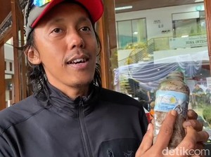 Ada Sampah Purba Berusia 31 Tahun Terkubur di Gunung Gede