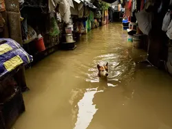 Karya Finalis Foto Cuaca 2023 Bikin Terkesima