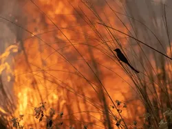 Karya Finalis Foto Cuaca 2023 Bikin Terkesima