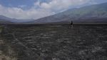 Panasnya 2023 Bikin Gunung-gunung di Indonesia Dilalap Si Jago Merah