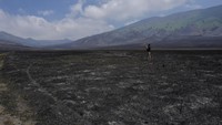 Musim panas 2023 tercatat memecahkan rekor terpanas, di antaranya karena adanya El Nino. Keringnya lahan memicu api lebih cepat menyebar dan membakar ratusan hektare lahan. ANTARA FOTO/Irfan Sumanjaya