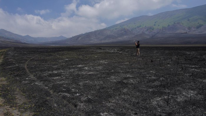 Wisata Gunung Bromo dibuka kembali Seorang wisatawan mengabadikan gambar kondisi padang sabana di Bukit Teletubbies, Probolinggo, Jawa timur, Selasa (19/9/2023). Balai Besar Taman Nasional Bromo Tengger Semeru (BBTNBTS) kembali membuka kawasan wisata Gunung Bromo yang sempat ditutup total selama 9 hari akibat kebakaran yang disebabkan suar yang dinyalakan pengunjung. ANTARA FOTO/Irfan Sumanjaya/foc.