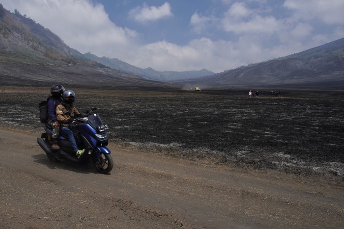 Seorang wisatawan mengabadikan gambar kondisi padang sabana di Bukit Teletubbies, Probolinggo, Jawa timur, Selasa (19/9/2023). Balai Besar Taman Nasional Bromo Tengger Semeru (BBTNBTS) kembali membuka kawasan wisata Gunung Bromo yang sempat ditutup total selama 9 hari akibat kebakaran yang disebabkan suar yang dinyalakan pengunjung. ANTARA FOTO/Irfan Sumanjaya/foc.