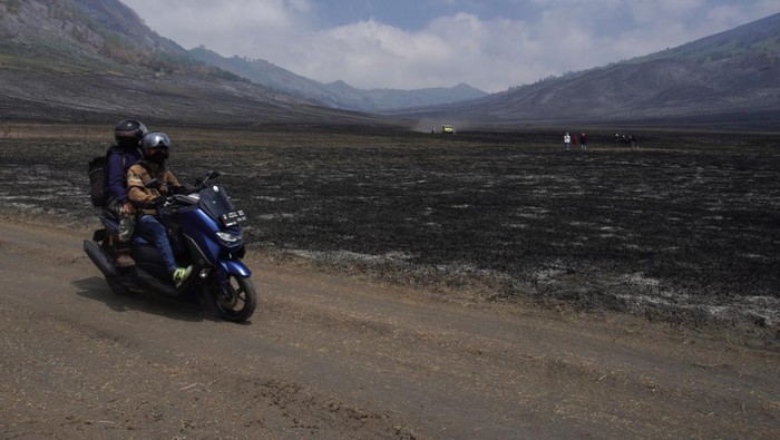 Seorang wisatawan mengabadikan gambar kondisi padang sabana di Bukit Teletubbies, Probolinggo, Jawa timur, Selasa (19/9/2023). Balai Besar Taman Nasional Bromo Tengger Semeru (BBTNBTS) kembali membuka kawasan wisata Gunung Bromo yang sempat ditutup total selama 9 hari akibat kebakaran yang disebabkan suar yang dinyalakan pengunjung. ANTARA FOTO/Irfan Sumanjaya/foc.