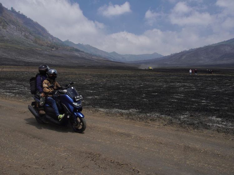 Wisata Gunung Bromo Dibuka Kembali