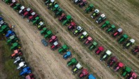 Pembatasan yang diberlakukan oleh Uni Eropa pada bulan Mei memungkinkan Polandia, Bulgaria , Hongaria, Rumania dan Slovakia untuk melarang penjualan domestik gandum, jagung, lobak dan biji bunga matahari dari Ukraina, sementara mengizinkan transit kargo tersebut untuk diekspor ke tempat lain. Pembatasan tersebut, yang dirancang untuk mengurangi kelebihan pasokan, telah berakhir pada hari Jumat (15/9) tetapi Polandia, Hongaria dan Slovakia telah memberlakukan larangan sepihak mereka sendiri, yang menurut Kyiv akan mereka tuntut. REUTERS/Stoyan Nenov