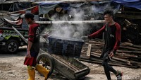 Kampung nelayan Cilincing Jakarta Utara memang menjadi sentra pengupasan kerang hijau di Jakarta.   