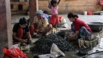 Begini Perebusan Kerang Hijau di Cilincing Jakarta Utara