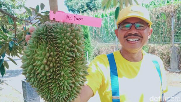 Daniel Wijanarko (57) pensiunan yang kini menggeluti kebun durian Musang King di Desa Granting, Kecamatan Jogonalan, Klaten, Rabu (20/9/2023).