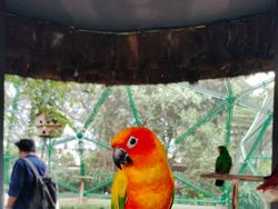 Cakepnya Foto Hewan di TMII, Dipotret Pakai Kamera Oppo A98