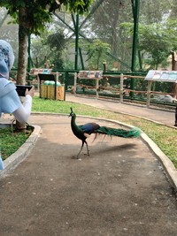 Menjajal kamera Oppo A98 buat wisata ternyata cukup memuaskan. Hasilnya jernih dan membuat kenang-kenangan saat berlibur jadi makin oke.