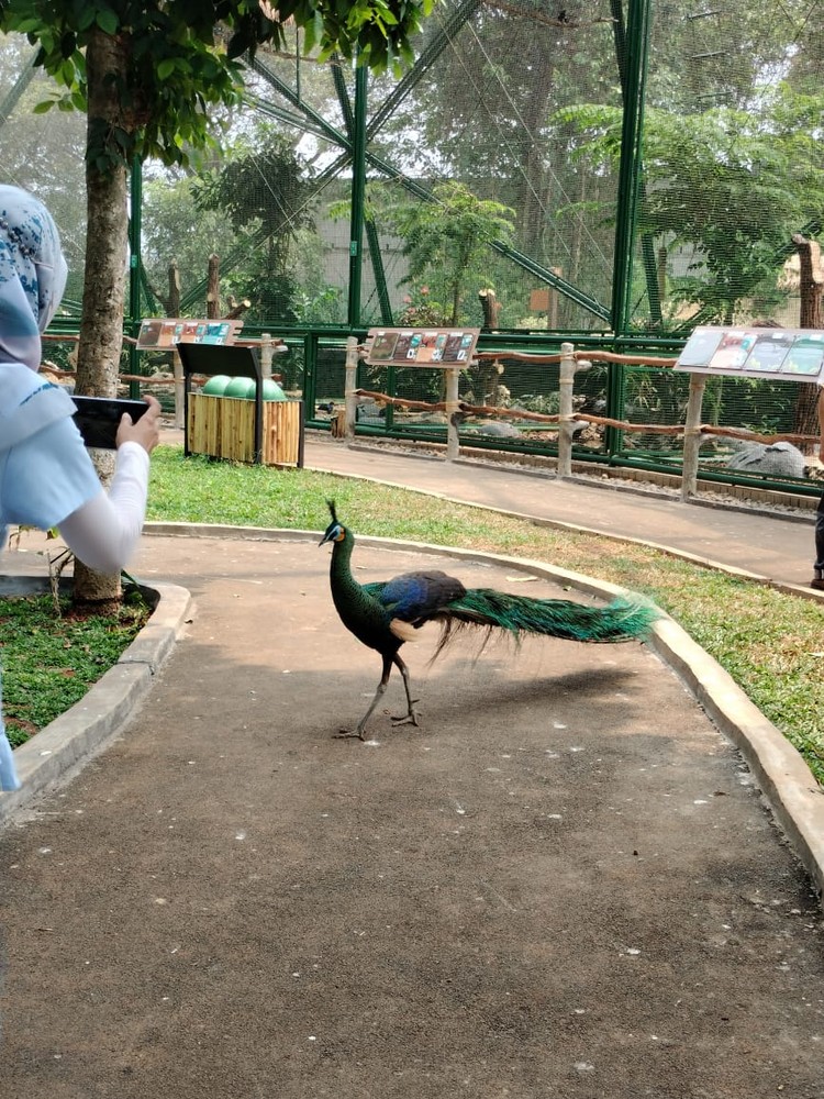 Menjajal kamera Oppo A98 buat wisata ternyata cukup memuaskan. Hasilnya jernih dan membuat kenang-kenangan saat berlibur jadi makin oke.