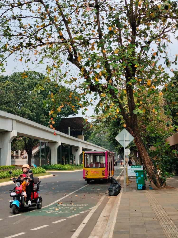 Foto Hewan di TMII di Jepret Pakai Kamera Oppo A98 Menjajal kamera Oppo A98 buat wisata ternyata cukup memuaskan. Hasilnya jernih dan membuat kenang-kenangan saat berlibur jadi makin oke.
