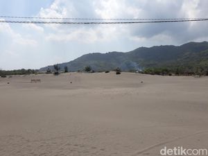 Restorasi Tahap Awal Gumuk Pasir Parangtritis Mulai Tahun Ini hingga 2029