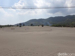 Pesona Gumuk Pasir Barchan Parangtritis, Disebut Langka dan Terancam Punah