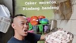 Heboh! Aksi Nyak Kopsah Masak dan Layani Pembeli Oseng Bang Madun