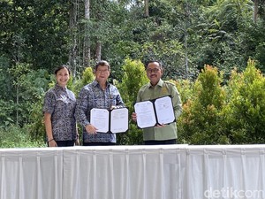 Pulau Kalawasan Seluas 247 Hektare Jadi Pusat Suaka Orangutan di IKN