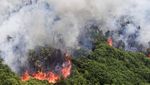 Potret Kebakaran Lahan Gambut di Desa Jungkal