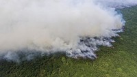 Foto udara asap membumbung tinggi dari kebakaran lahan gambut di Desa Jungkal, Kecamatan Pampangan, Ogan Komering Ilir (OKI), Sumatera Selatan, Selasa (19/9/2023). 