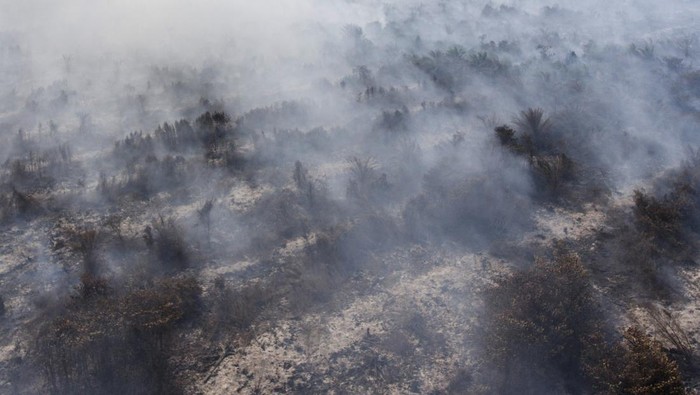 Foto udara asap membumbung tinggi dari kebakaran lahan gambut di Desa Jungkal, Kecamatan Pampangan, Ogan Komering Ilir (OKI), Sumatera Selatan, Selasa (19/9/2023). Lahan gambut tersebut terbakar sejak Kamis (31/8). ANTARA FOTO/Nova Wahyudi/foc.