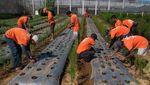 Hidup Humanis di Lapas Bangli