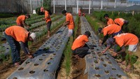 “Kita sudah mengatur untuk kegiatan warga binaan permasyarakatan sehari-hari, mereka yang mengikuti program kemandirian pada pukul 08.00 WITA dikeluarkan dari sel dan memulai kegiatan kerja sampai pukul 11.30 WITA dan sekitar pukul 12.00 - 13.00 WITA istirahat, dan nanti pukul 14.00 WITA dikeluarkan lagi dari sel untuk melakukan kembali kegiatan kerja hingga jam 15.00 WITA,” katanya. Ia menambahkan tidak semua bisa terlibat dalam program kemandirian kerja itu karena harus memenuhi syarat yakni sudah menjalani setengah masa pidana dan 2/3 masa pidana dan disesuaikan dengan minat.  