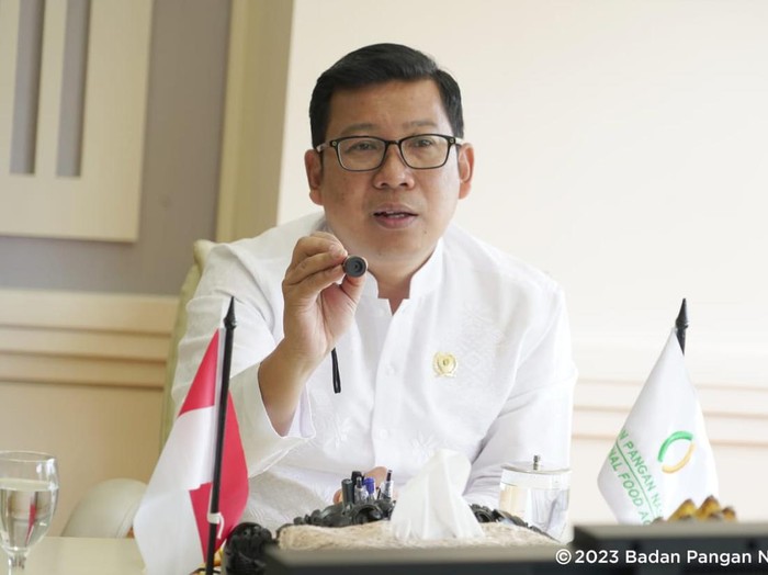 Kepala Badan Pangan Nasional, Arief Prasetyo Adi