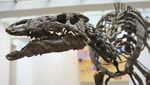 Kerangka Dinosaurus Berusia 150 Juta Tahun Akan Dilelang, Begini Wujudnya