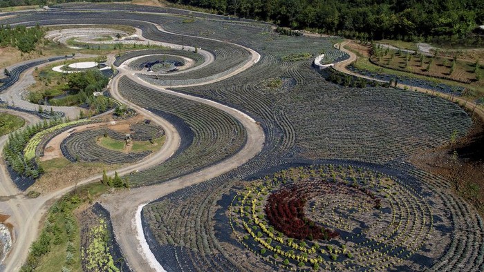 This photo taken by a drone shows an aerial view of a nature park shaped after Vincent van Gogh's painting 