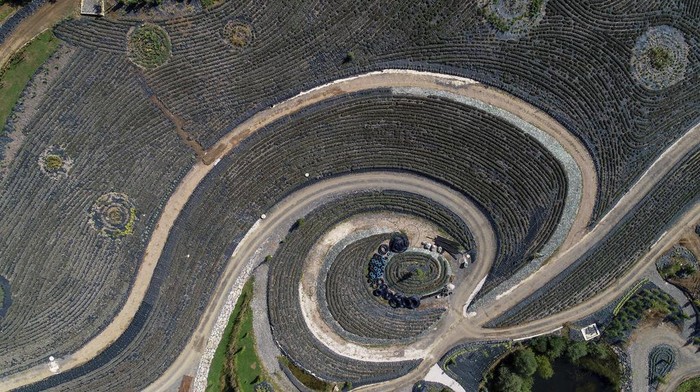 This photo taken by a drone shows an aerial view of a nature park shaped after Vincent van Gogh's painting 