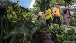 Melihat Pameran Flora dan Fauna di Lapangan Banteng