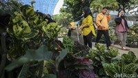 Pameran Flora dan Fauna berlangsung mulai 15 September sampai 16 Oktober 2023.  