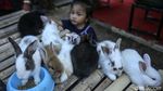 Melihat Pameran Flora dan Fauna di Lapangan Banteng