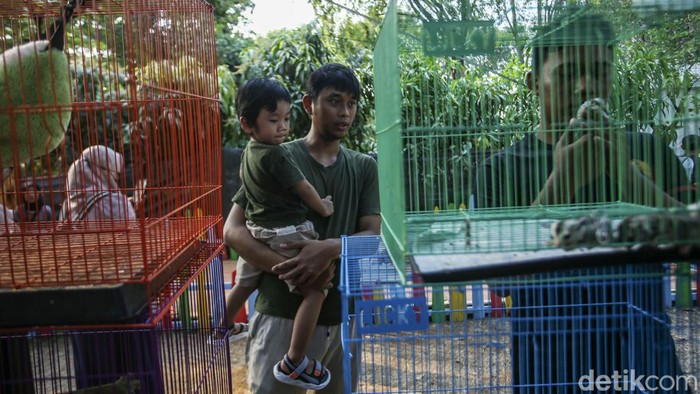 Melihat Pameran Flora Dan Fauna Di Lapangan Banteng 4991