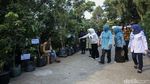 Melihat Pameran Flora dan Fauna di Lapangan Banteng