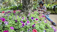 Lokasi yang dihiasi bunga warna-warni membuat pengunjung betah berlama-lama di pameran Flora dan Fauna.