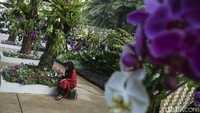 Bunga warna-warni di lokasi pameran berhasil menyedot perhatian pengunjung. Bahkan ada yang berfoto-foto di sekitar bunga tersebut.  