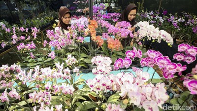 Melihat Pameran Flora dan Fauna di Lapangan Banteng