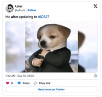 Meme iOS 17