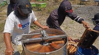Menurut peternak lebah madu saat musim kemarau seperti saat ini produksi madu melimpah sehingga bisa panen dua kali setiap bulan dengan harga jual Rp70 ribu - Rp100 ribu per kilogram. 