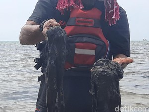 Pantai Karimunjawa Diduga Tercemar Limbah, Pelaku Wisata-Nelayan Waswas