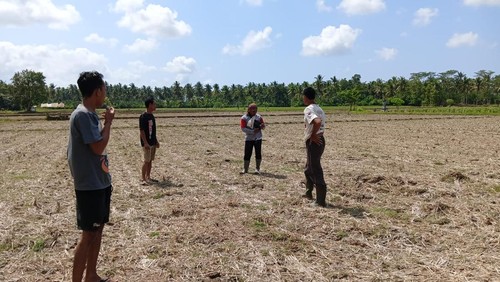 Lokasi hilangnya empat sapi warga yang dicuri maling di Banjar Pangkung Buluh, Desa Kaliakah, Kecamatan Negara, Kabupaten Jembrana, Rabu (20/9/2023).
