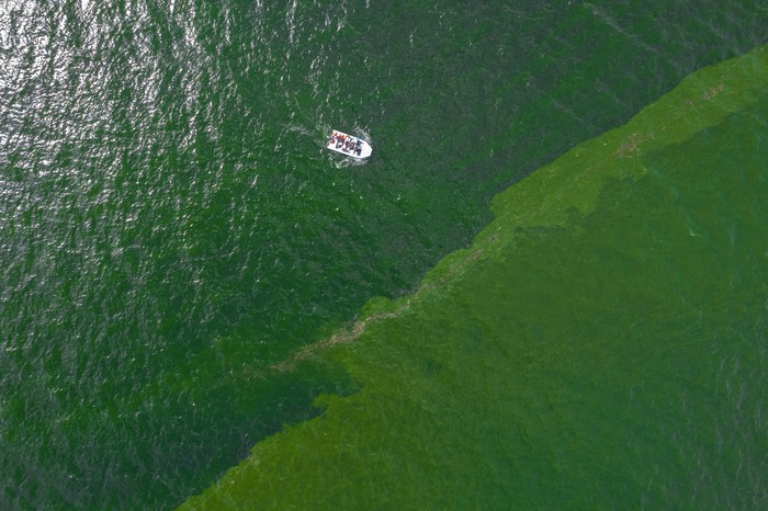 An aerial view of green sea water caused by plankton bloom at Chonburis coastline, Thailand, September 14, 2023. REUTERS/Napat Wesshasartar