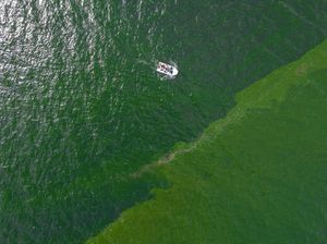 Warna Air Laut di Dunia Banyak yang Berubah, Ternyata Ini Penyebabnya