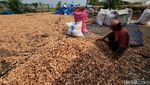 Potret Buruh Penjemur Kulit Udang, Diupah Rp 100.000/Hari
