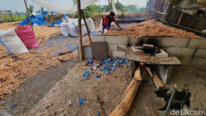 Kulit udang untuk bahan baku terasi harus dijemur terlebih dahulu sebelum diproduksi. Buruh harian inilah yang menjemurnya dengan upah Rp 100.000/hari.